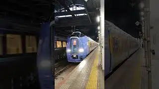特急すずらん2号と特急宗谷札幌駅同時発車#jr北海道 #鉄道 #train #電車 #気動車#特急すずらん#特急宗谷#同時発車#札幌駅