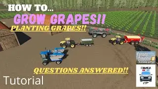 UPDATE LINK BELOW How To Grow GRAPES in Farming Simulator 19!!