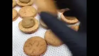Cookie Butter macarons