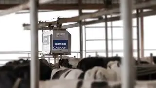 Astor Bedding Robot