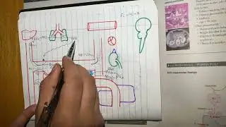 RENIN ANGIOTENSIN ALDOSTERONE SYSTEM 1 | RENAL SYSTEM | Urdu/Hindi