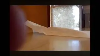 Clip From Jameson has the best pizza