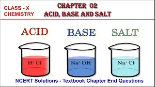 Class-10 || Chapter-2 || NCERT - CHAPTER END QUESTIONS || ACIDS BASES AND SALTS || CBSE