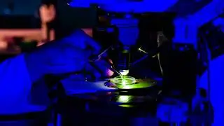 🔬🧠 Ученые ДВФУ и ДВО РАН разработали новый метод диагностики опухолей мозга