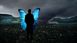 Mysterious Case of Butterfly People