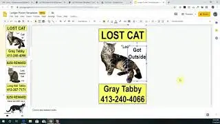 How to Edit a Lost Pet Poster in Google Slides