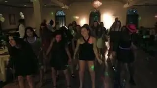 DJ Vybe @RealDJVybe: Sweet 16 Birthday Party at the Pegasus in Coxsackie, New York (Wobble)