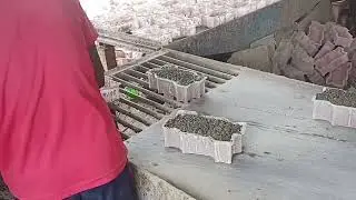 paver block bricks kaise bante hai/ paver block इंट कैसे बनता है