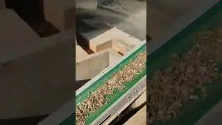 Pouktry farm horizontal manure removal belt and slope manure belt system