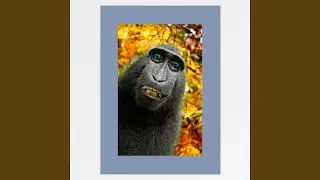 Gibbon Trance (There's Water in My Boots Mix)