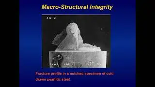 180: Broadening the Amplitude of the definition of structural Integrity: a tribute to Galileo ...