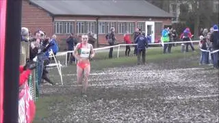 English National Cross Country 2015 - Senior Women