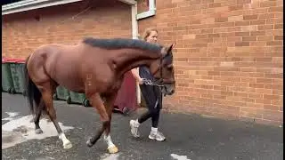 Strongside stable parade