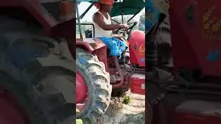 #south