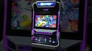 2 Players 32 inch Fish Hunter Gaming Skilled Metal Cabinet Gaming Arcade Machines For Sale