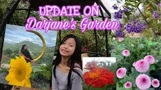 Update on Darjane's Garden