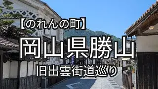 Vlog/【旧出雲街道】/個性が光るのれんの町/お洒落なcafeで和食を食す/岡山県真庭市勝山