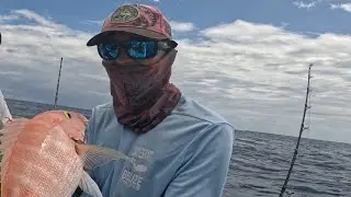 YELLOW EYE SNAPPER! Deep drop fishing for WHATEVER BITES!!