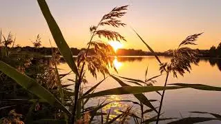 MORNING WISDOM MUSIC - Calm & Positive Energy - Soft Morning Meditation Music For Clear Mind