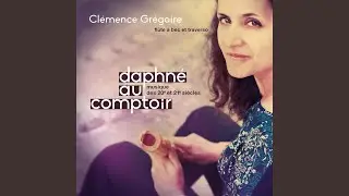 Declarations of love to the bass recorder: II. Chanson da mur