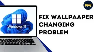 How to Fix Wallpaper Keeps Changing Problem On Windows 11 ?