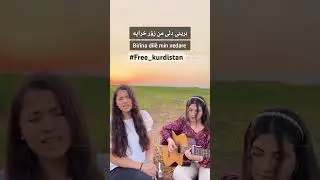 #stopexecutionsiniran #free_kurdistan