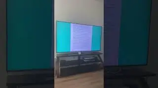 Nex Playground setup problem