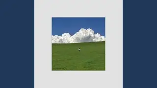 Field Thoughts