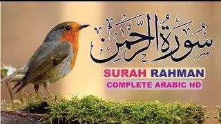 Surah Raheman Daily Recitation by Omar Hisham Alarabi#surahraheman#tilawat#@siddiqui025