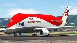 Insane! Giant Beluga RED LOGISTICS Heavy Takeoff on Extreme Short Runway