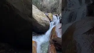 Sajhla Waterfalls, Naggar,Manali !! #himachalpradesh #trending #trendingsong #manalitrip #ytshorts