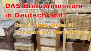 Das Lebendige Bienenmuseum Kn&uuml;llwald 🐝 &ndash; Geschichte, Natur & Geheimnisse der Imkerei - Exkursion
