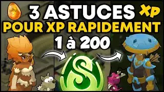 3 ASTUCES RENTABLES pour XP RAPIDEMENT sur DOFUS !