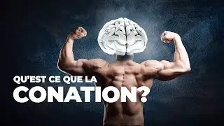 La Conation : Le Maillon Manquant du Succ&egrave;s