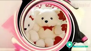 Video on Happy teddy day 2019 // Clip India(3)