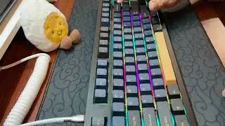 Keychron Q3 TKL MODDED | KTT Kang White V3 (Lubed) | Sound Test