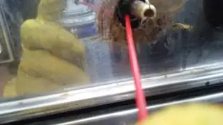 PERILLA DE COCINA DURA , COMO SOLUCIONARLO.