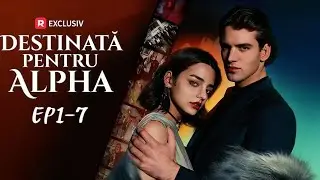Destinată pentru Alpha [EP1-7] | ReelShort