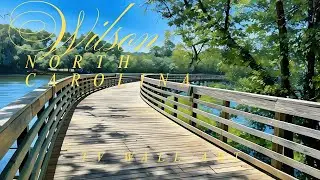 TV Art | Wilson North Carolina | Digital Oils