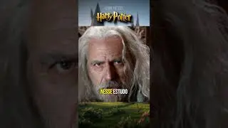Quem foi Gregorovitch!? #harrypotter #varinhas #grindelwald