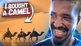 Buying a CAMEL in Mauritania.