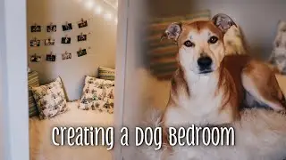 Creating a DOG BEDROOM in a Spare Closet