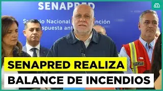El balance del Gobierno en los incendios de Biobío y Ñuble