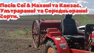 Посів сої Махоні та Канзас | Мінітрактор + кінна сівалка в дії.