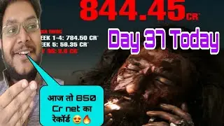 DHURANDHAR DAY 37 COLLECTION | DHURANDHAR COLLECTED 844.45 CRORES NET IN 36 DAYS AT BOX OFFICE INDIA