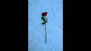 Pop R&B Soul Type Beat - 