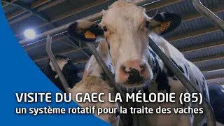GAEC La M&eacute;lodie (85) : une subvention de la R&eacute;gion pour une machine &agrave; traite rotative