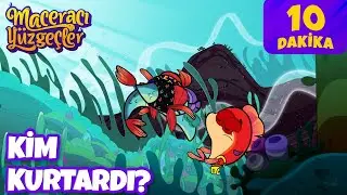 🦈🐟🐠🐡🎣 Biba'yı ve Taka Hamsiyi kim kurtardı? | Maceracı Yüzgeçler