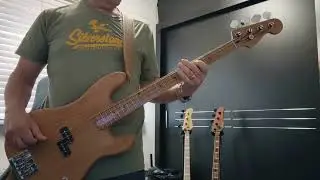 The Stranglers - Peaches bass cover