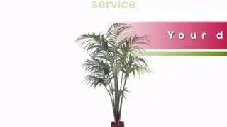 9.5 foot Kentia Palm: With Potting Kit - artificialplantsandtrees.com